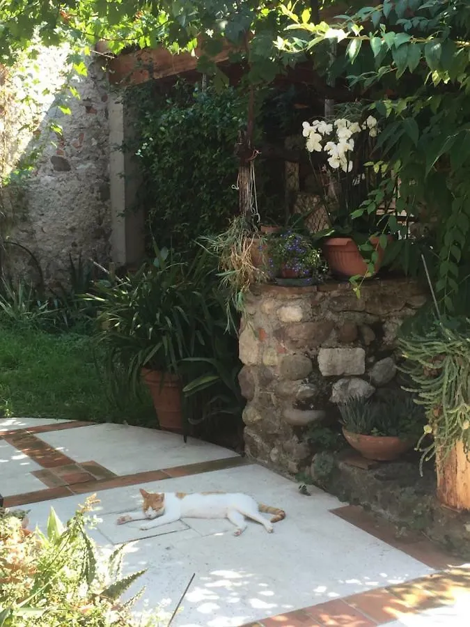 Casa Curlo Bed and Breakfast Calvagese Della Riviera 0*,