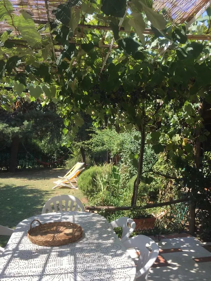 Bed & Breakfast Casa Curlo Bed and Breakfast Calvagese Della Riviera
