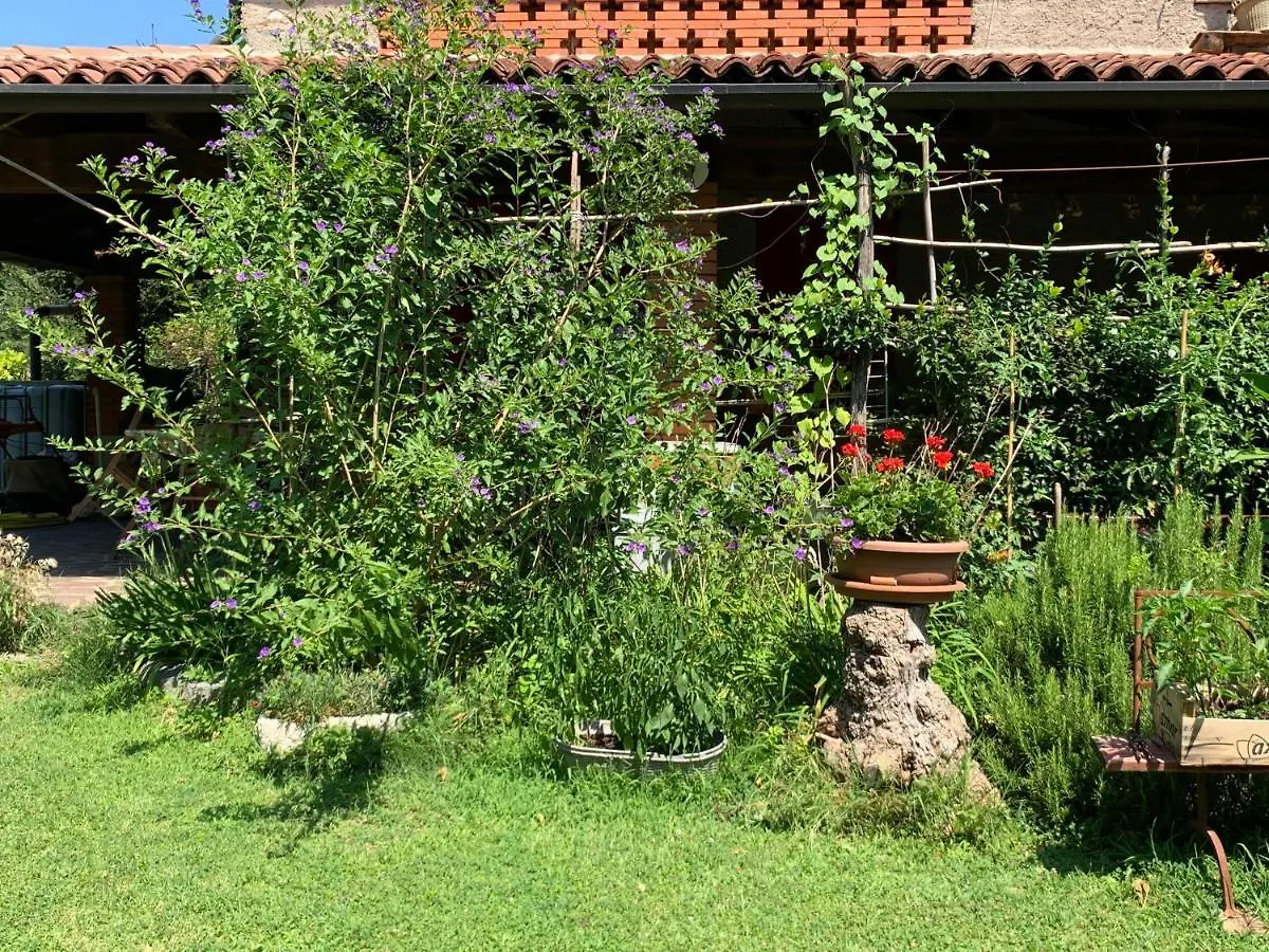 Casa Curlo Bed & Breakfast Calvagese Della Riviera