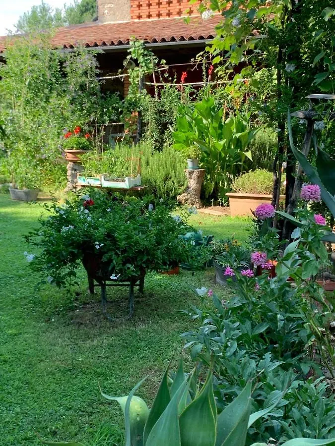 Casa Curlo Bed & Breakfast Calvagese Della Riviera