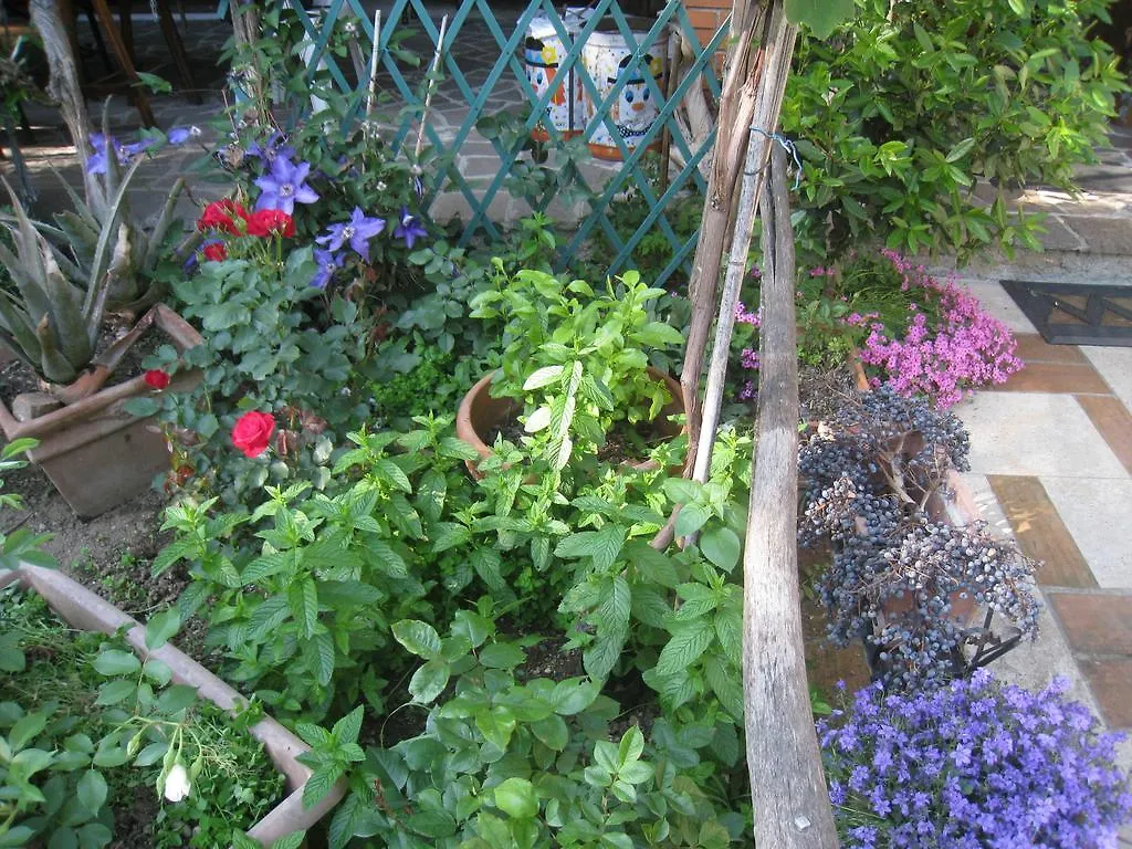 Casa Curlo Bed & Breakfast Calvagese Della Riviera