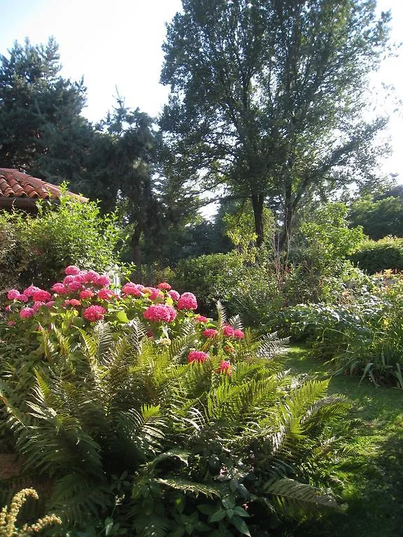 Casa Curlo Bed & Breakfast Calvagese Della Riviera