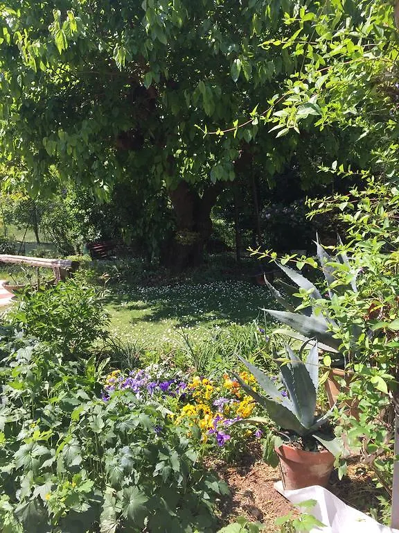 Casa Curlo Bed & Breakfast Calvagese Della Riviera 0*,