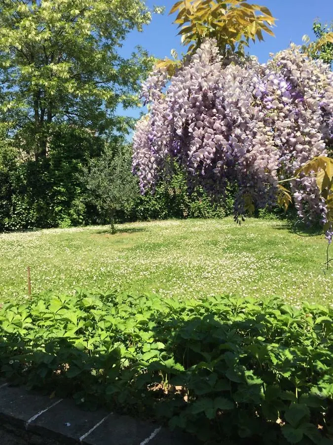Casa Curlo Bed & Breakfast Calvagese Della Riviera