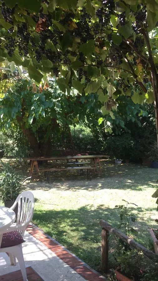Casa Curlo Bed & Breakfast Calvagese Della Riviera